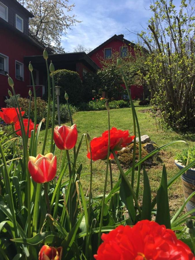 Ferienwohnung Auenthal Koditz Exteriör bild